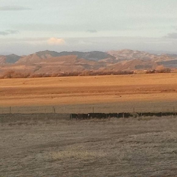 Meet your Posher, Kevin - Picture 1 of 1